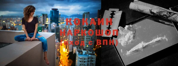 гашик Инсар