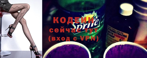 гашик Инсар