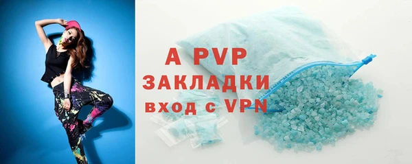 гашик Инсар