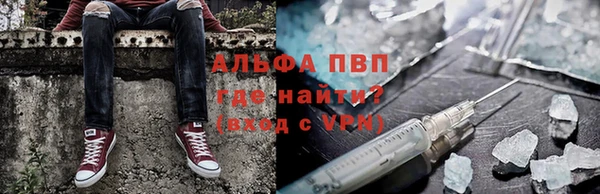 гашик Инсар