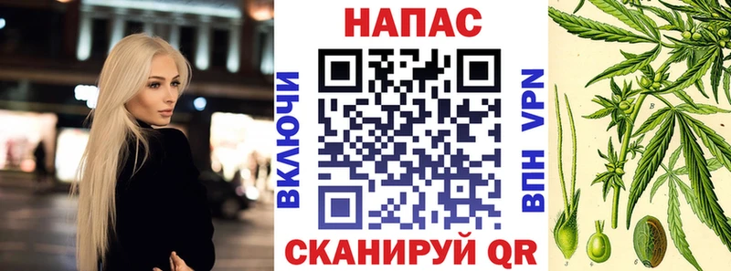 Купить  Бежецк  Конопля марихуана 
